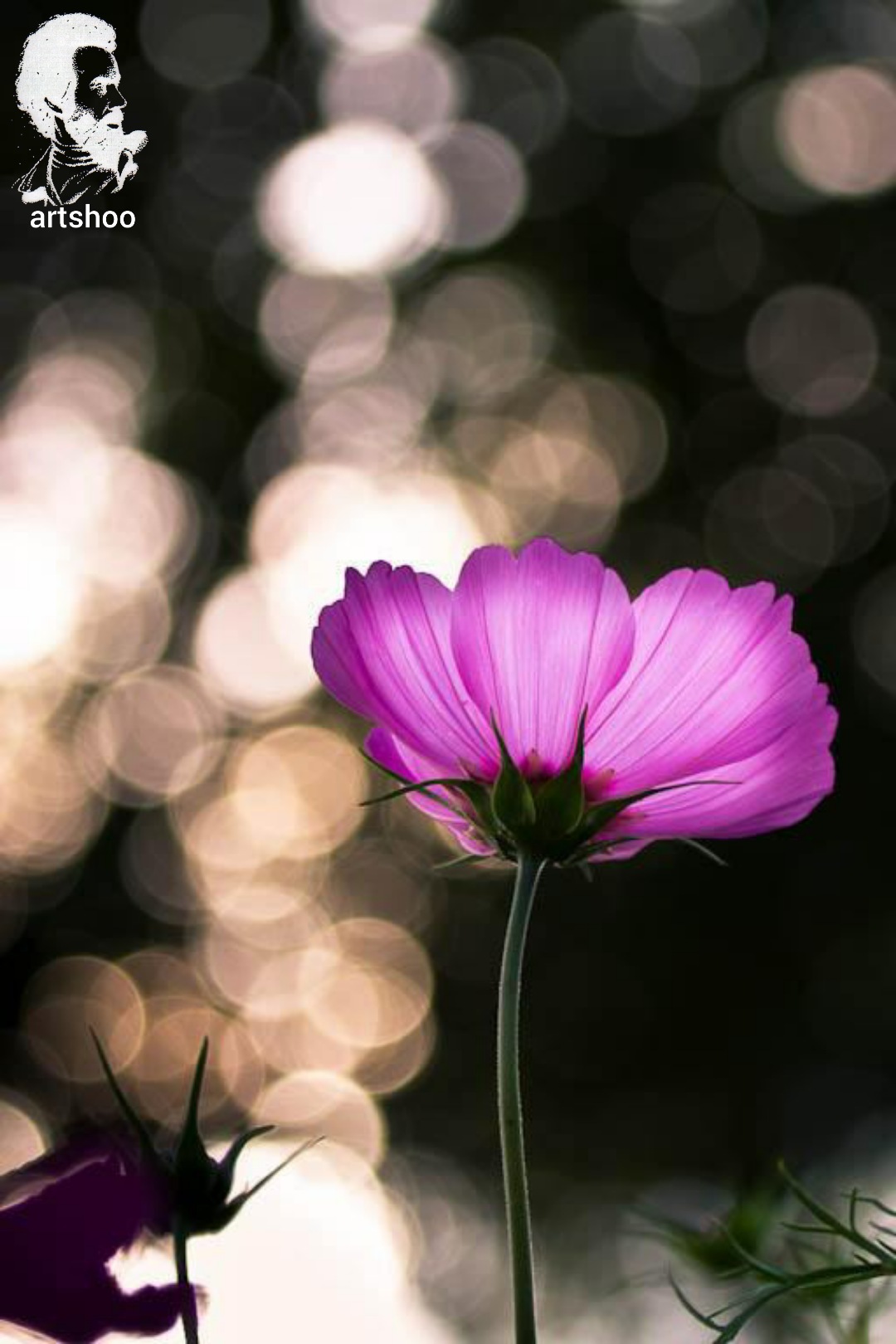 گل اورژینال رنگ روغن